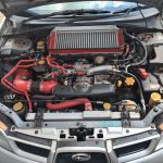 WhatsApp Image 2021-11-24 at 9.33.45 PM (1)