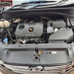 WhatsApp Image 2021-12-04 at 2.17.55 PM (1)sl