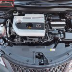 WhatsApp Image 2022-02-02 at 11.13.25 AM (1)sl